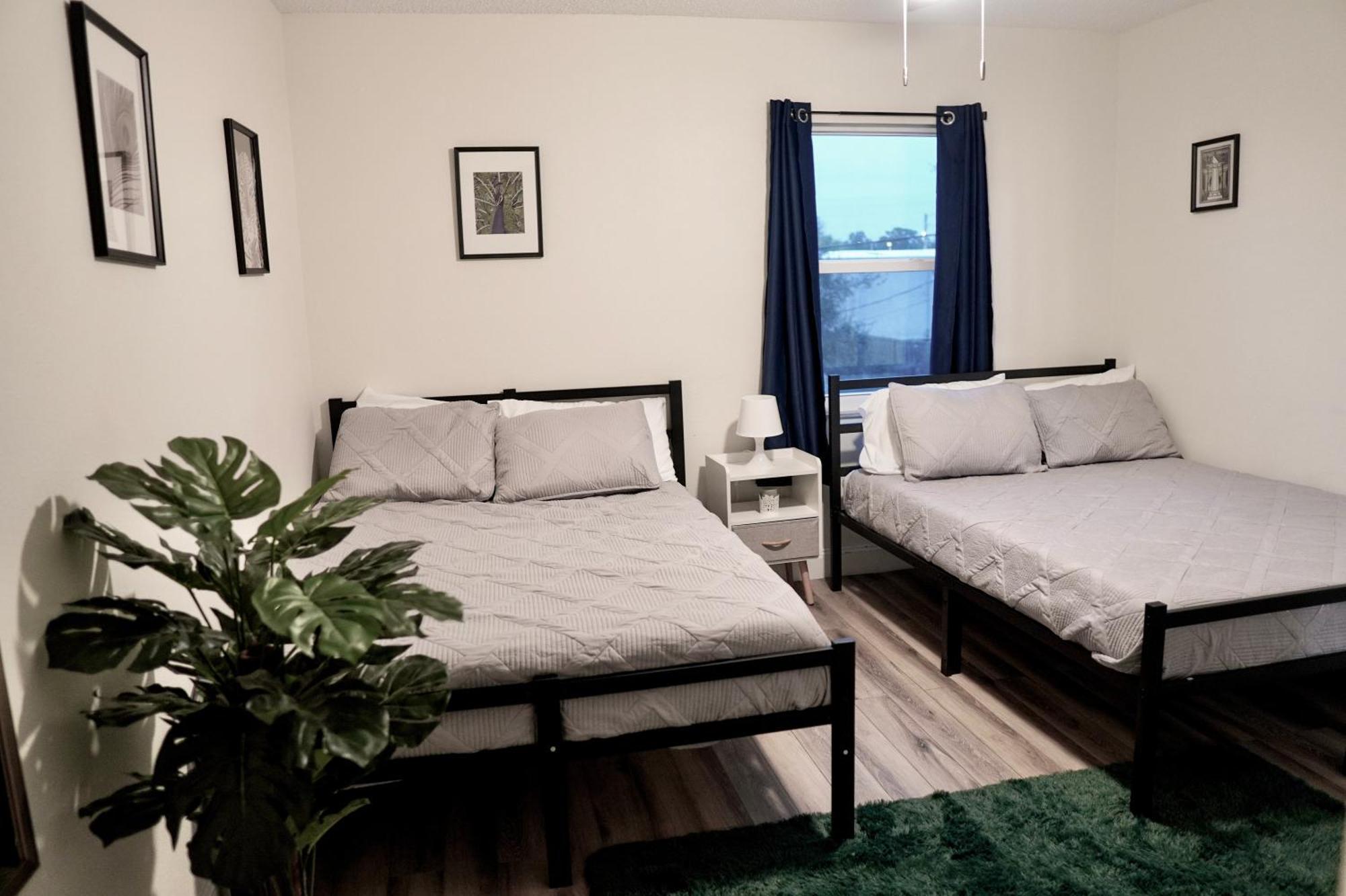 Jay's Cozy Escape * Tampa
