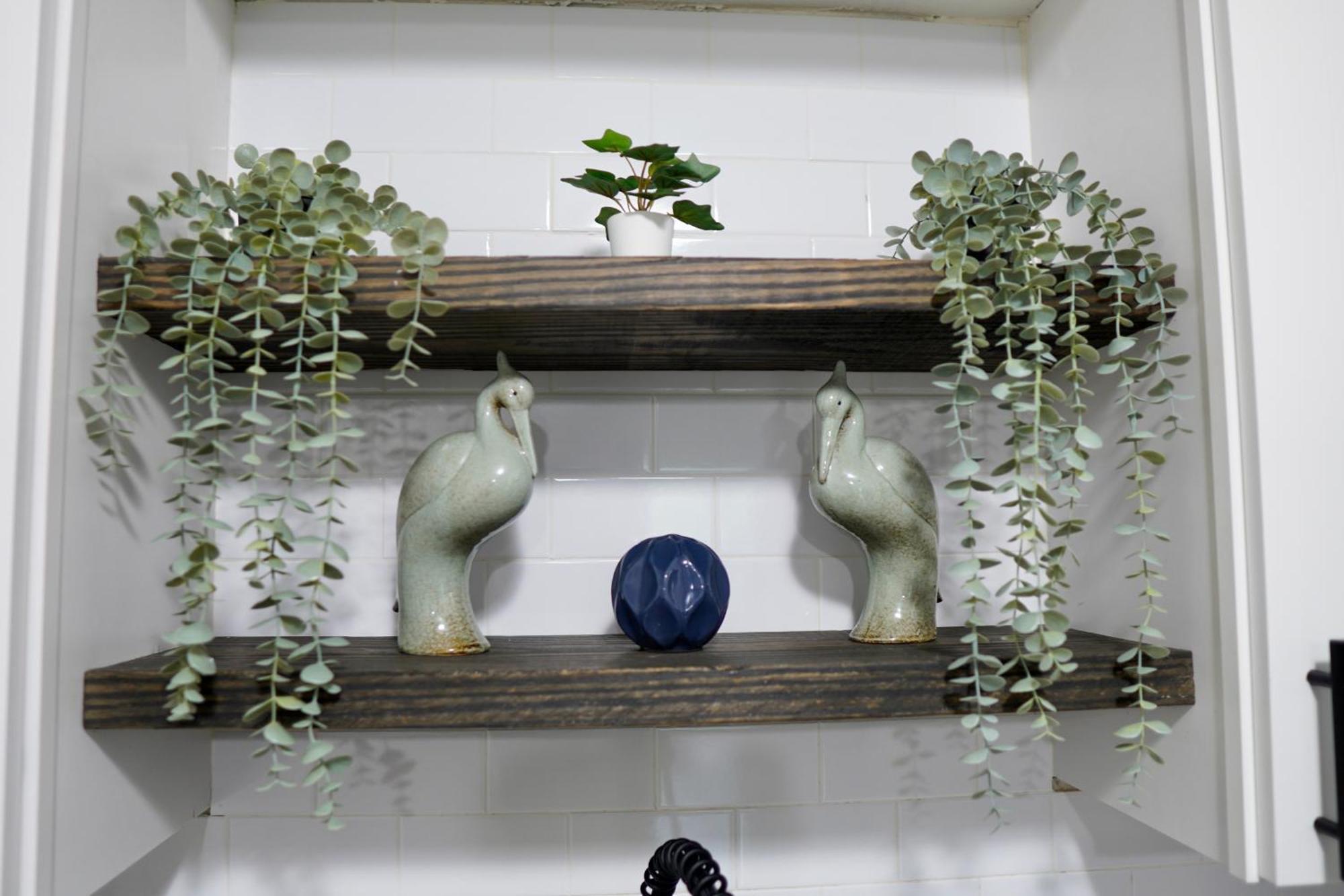 Jay's Cozy Escape Tampa